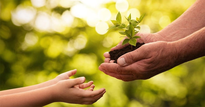 Vứt Bỏ Sự Hao Tổn Nội Tâm