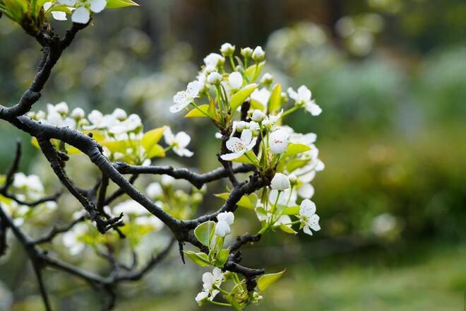Người Âm Thầm Bên Cạnh Khi Bạn Rơi Xuống Đáy Vực