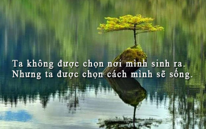 Vứt Bỏ Những Lời Oán Trách