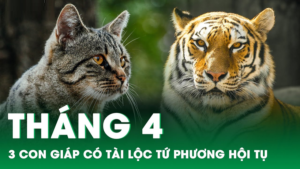 Con giáp thứ nhất: Tuổi Tý