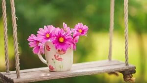 Tầm Quan Trọng của Sự Rộng Lượng